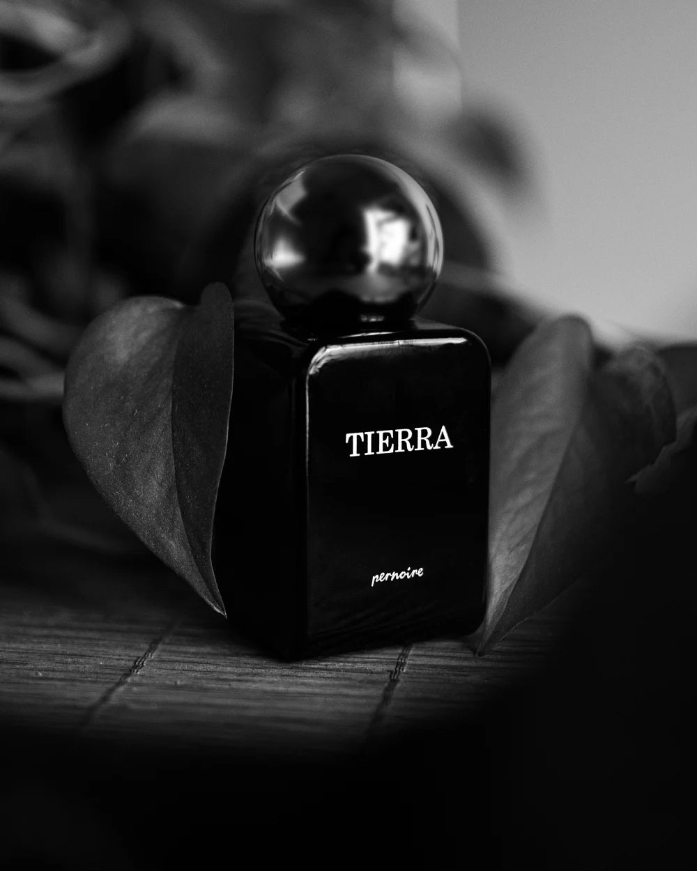 Tierra by Pernoire