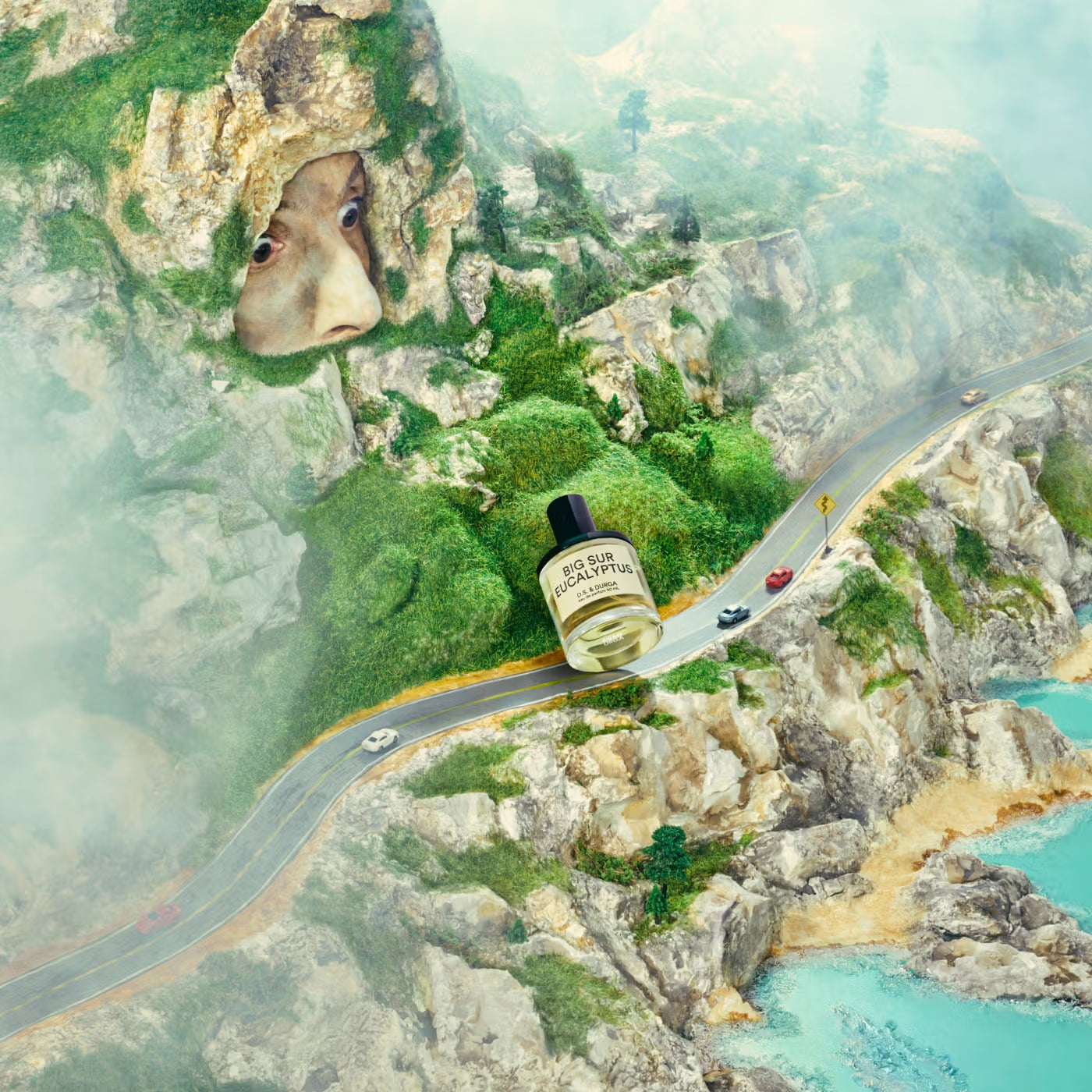 Big Sur Eucalyptus by D.S. & Durga