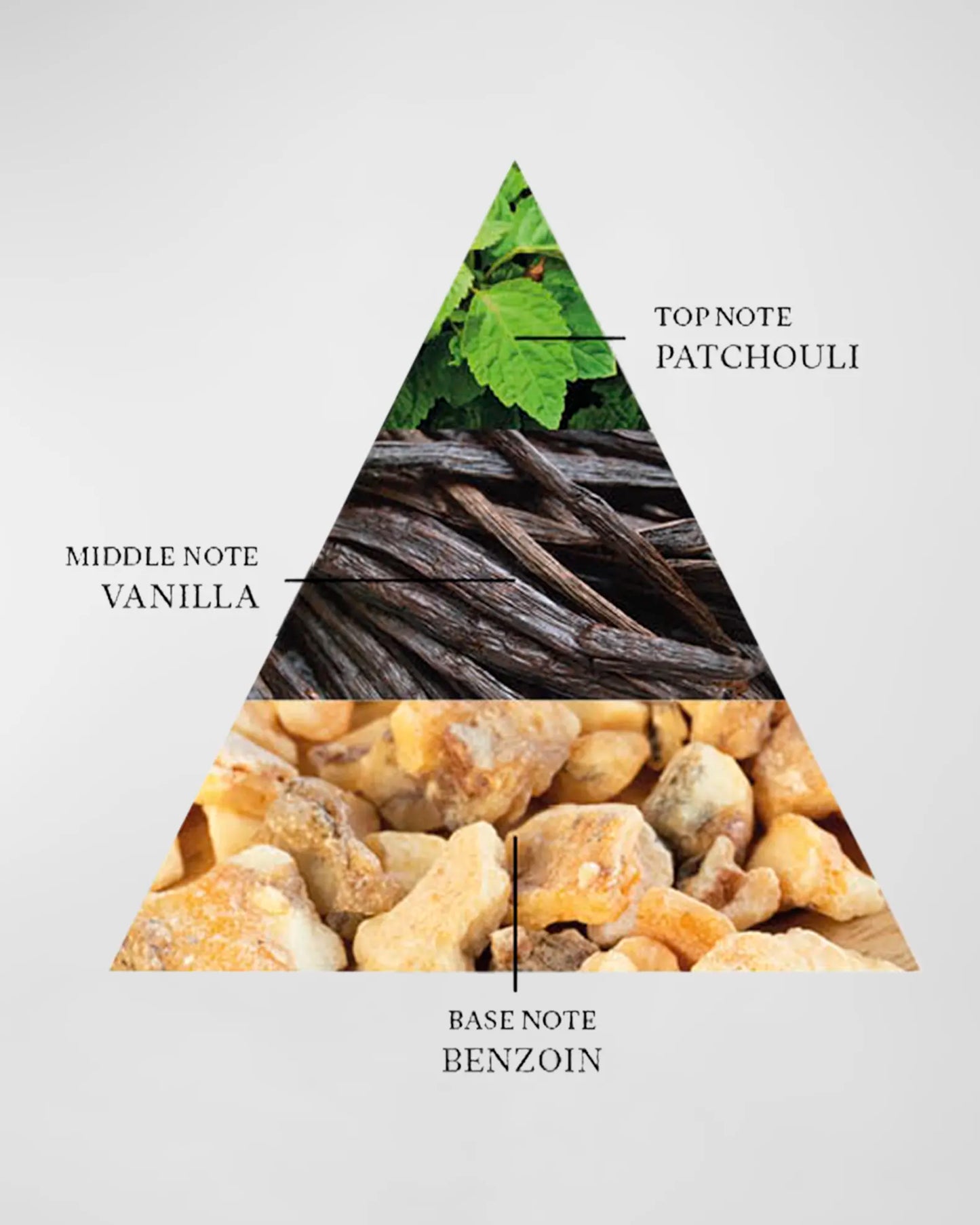 Hypnotizing Fire By The Harmonist