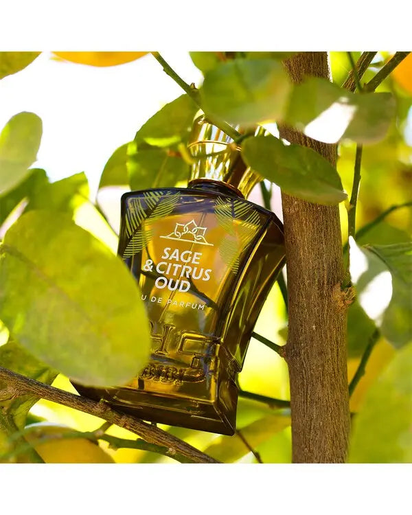 Sage & Citrus Oud by Habibi