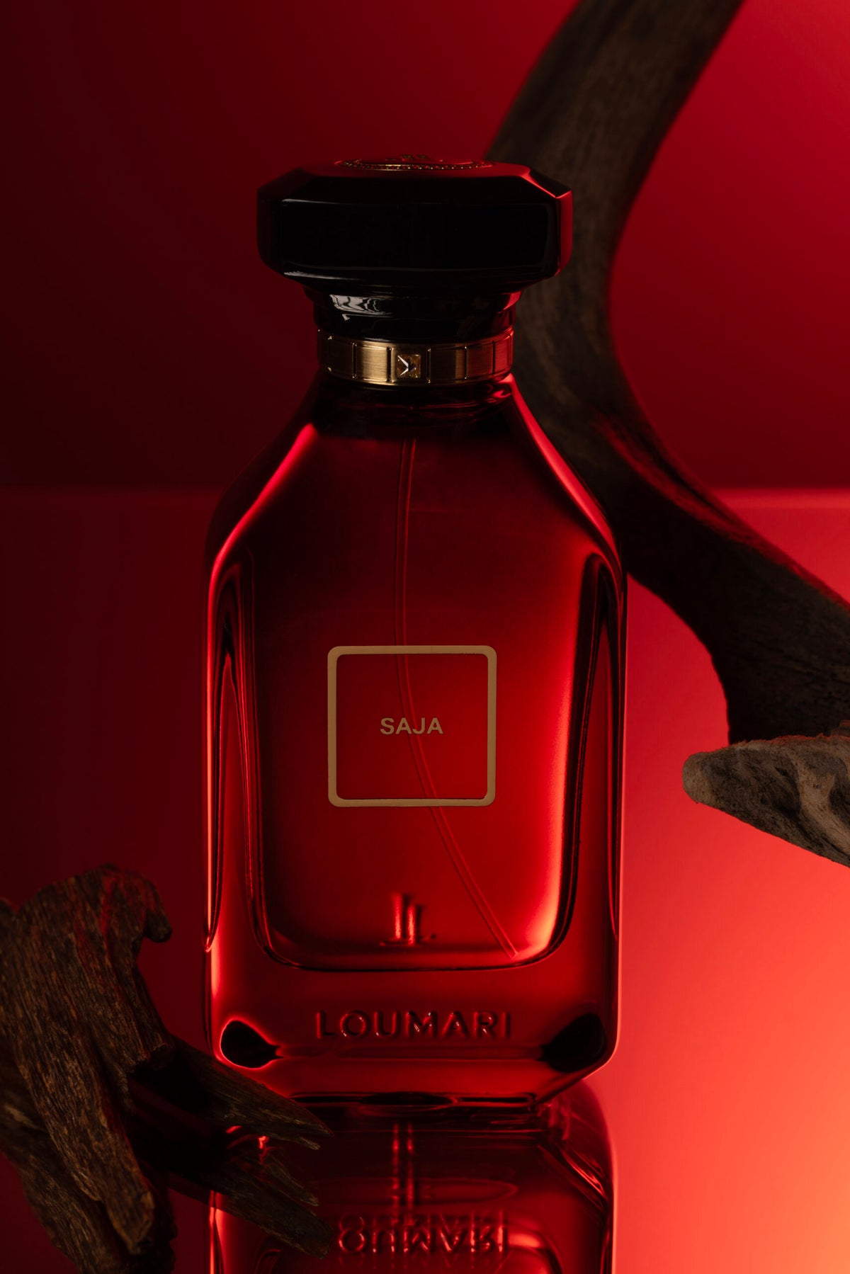 Saja by Loumari