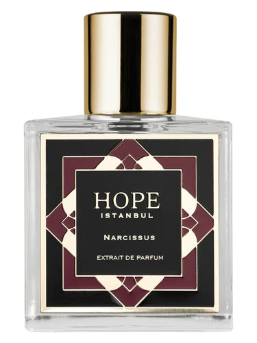 Narcissus by Hope Istanbul