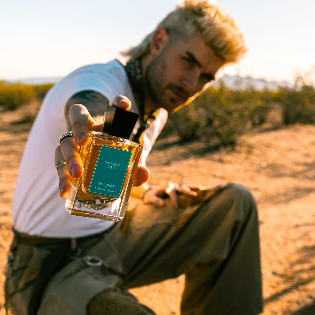 Desert Rain By Day Three