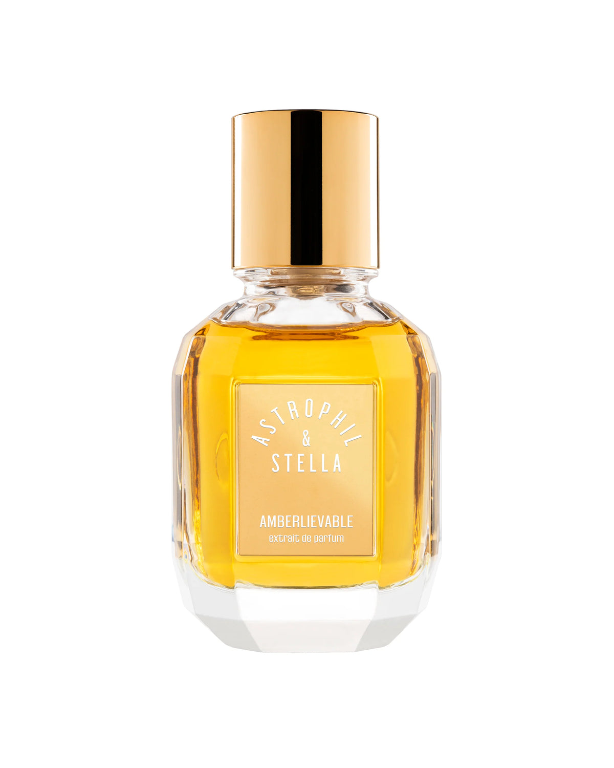 Amberlievable by Astrophil and Stella