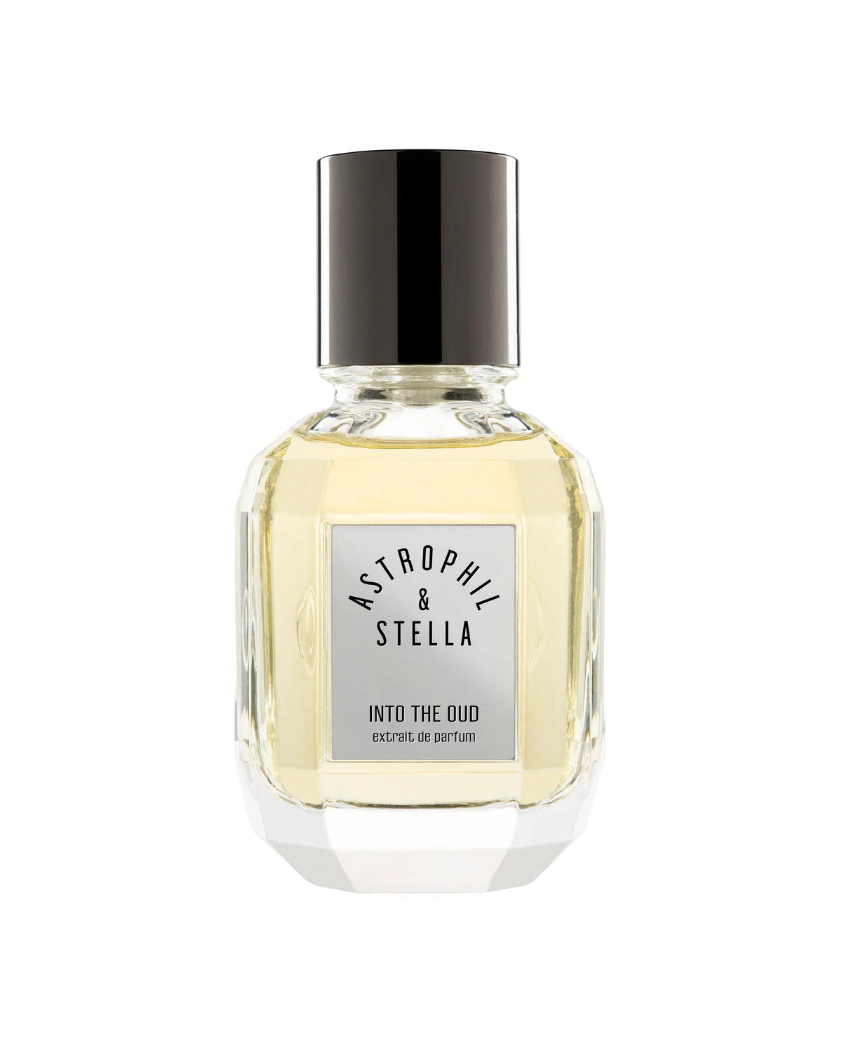Into The Oud by Astrophil and Stella