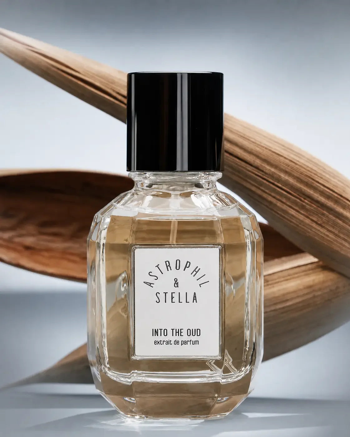 Into The Oud by Astrophil and Stella