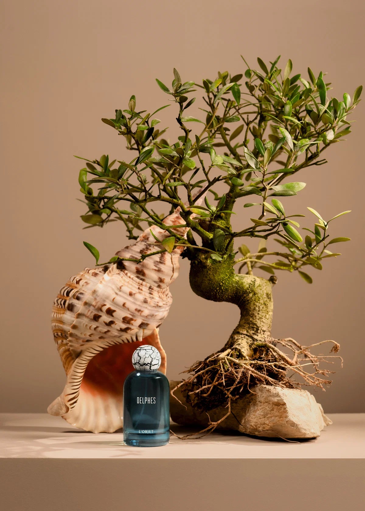 Delphes by L’Objet