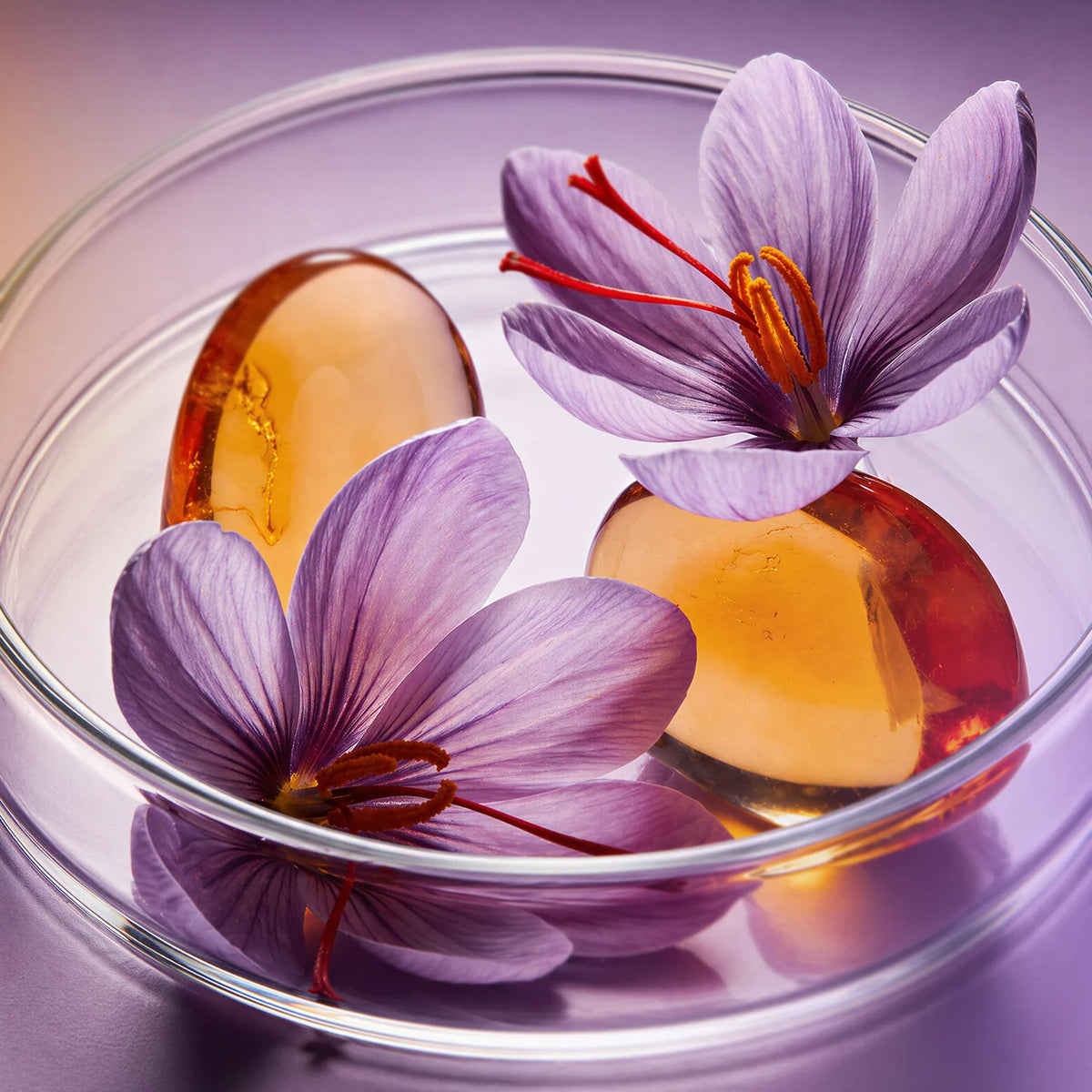 Saffron + Amber by Olfactory X