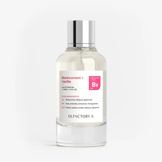 Blackcurrant + Vanilla by Olfactory X