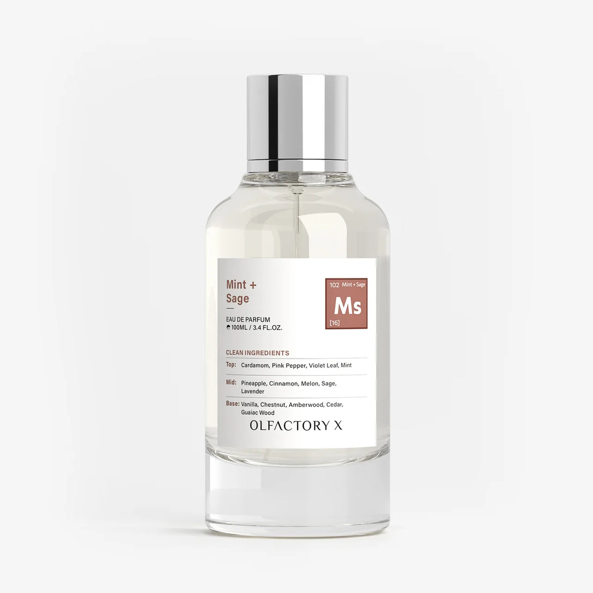 Mint + Sage by Olfactory X