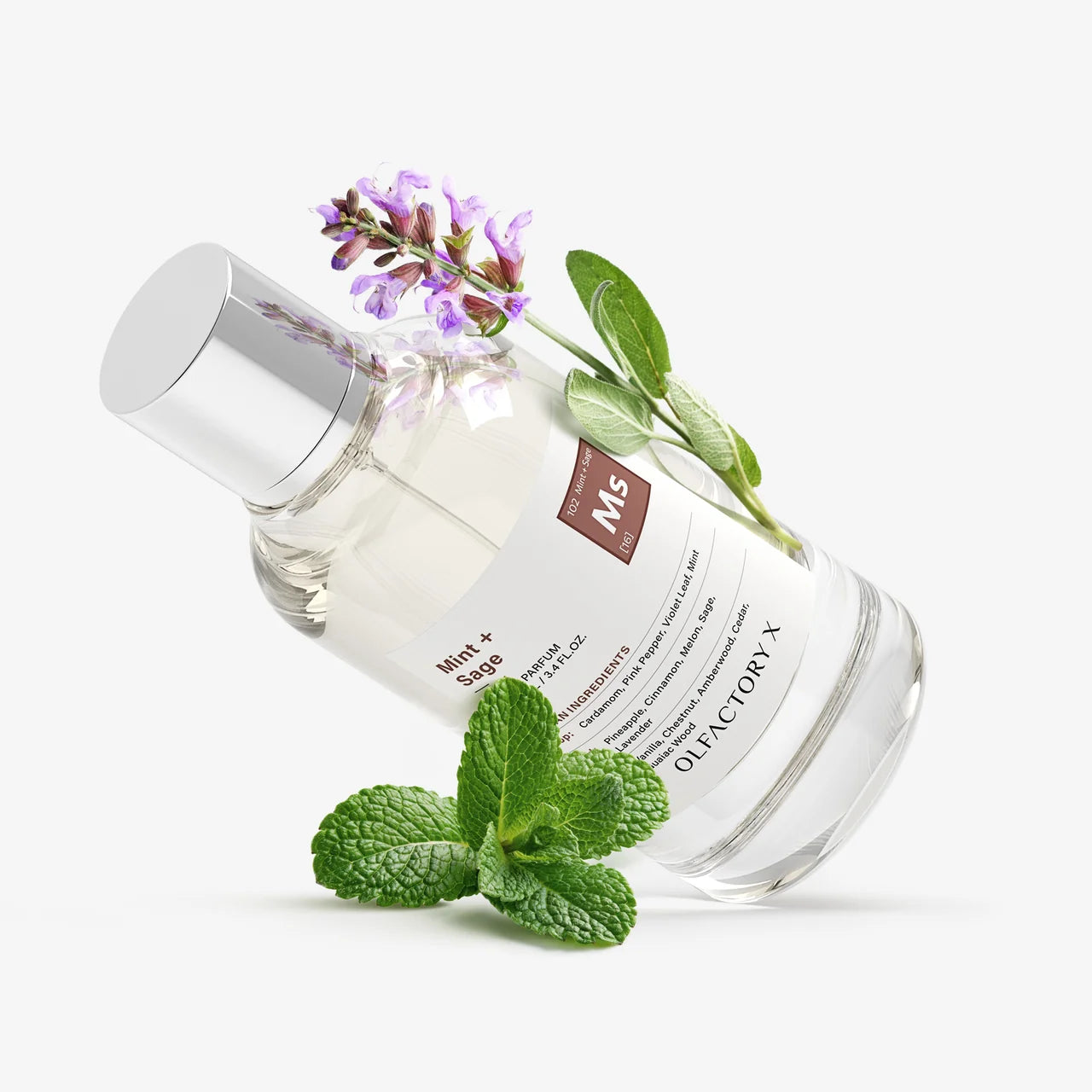 Mint + Sage by Olfactory X
