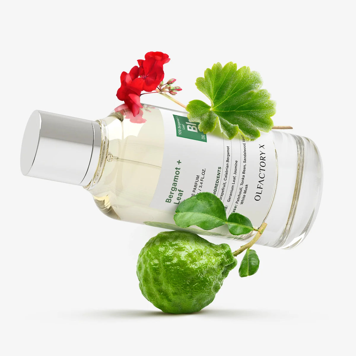Bergamot + Leaf by Olfactory X