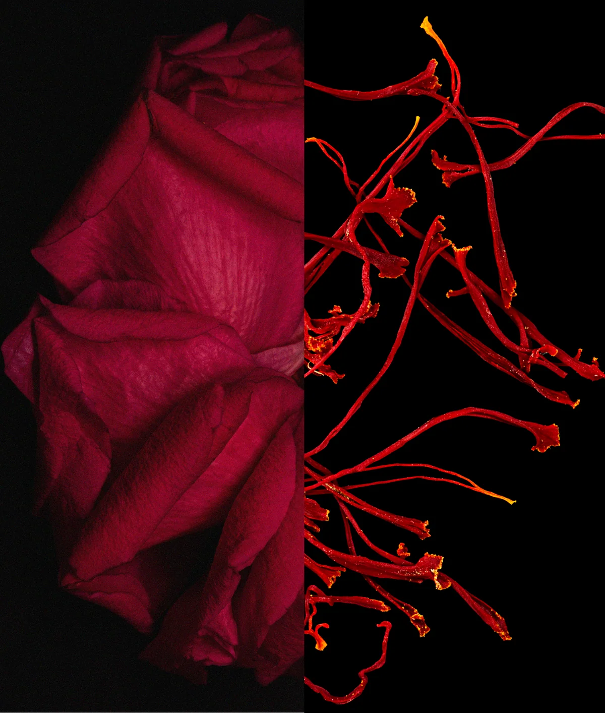 Notorious Oud by D.S. & Durga