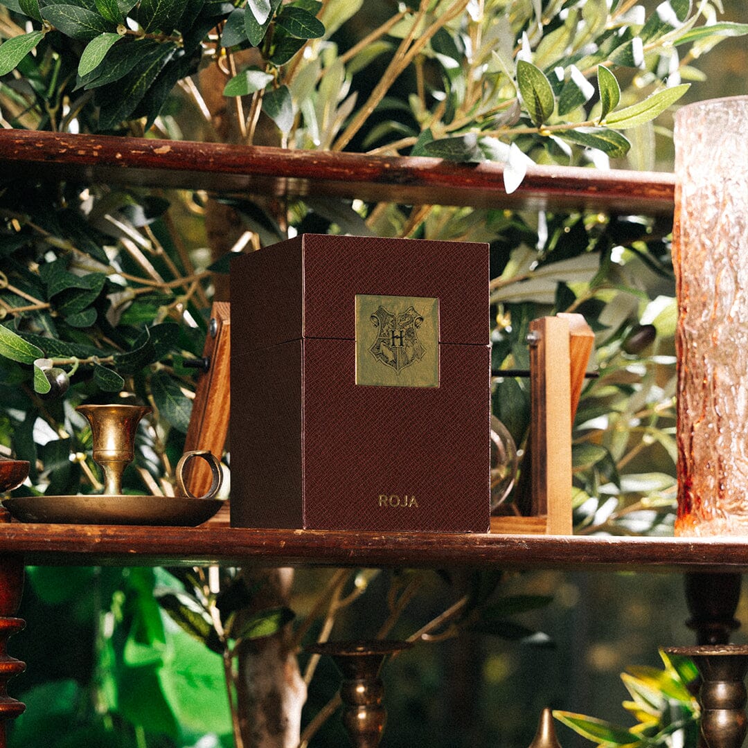 HARRY POTTER BURLINGTON 1819 LIMITED-EDITION By Roja