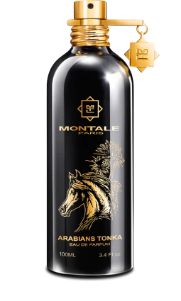 Arabians Tonka by Montale