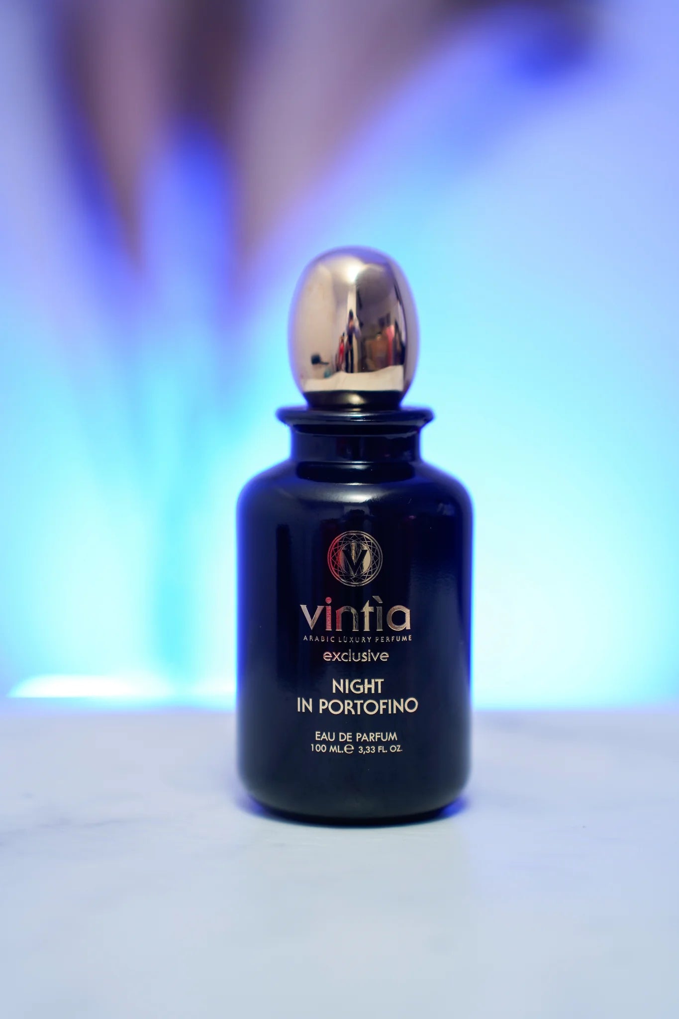 Night in Portofino by Vintia