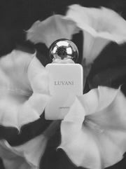 Luvani by pernoire