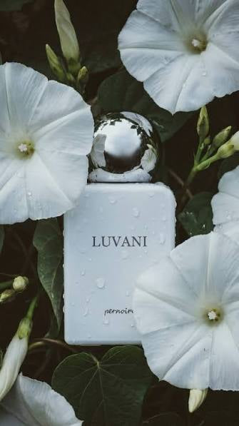 Luvani by pernoire