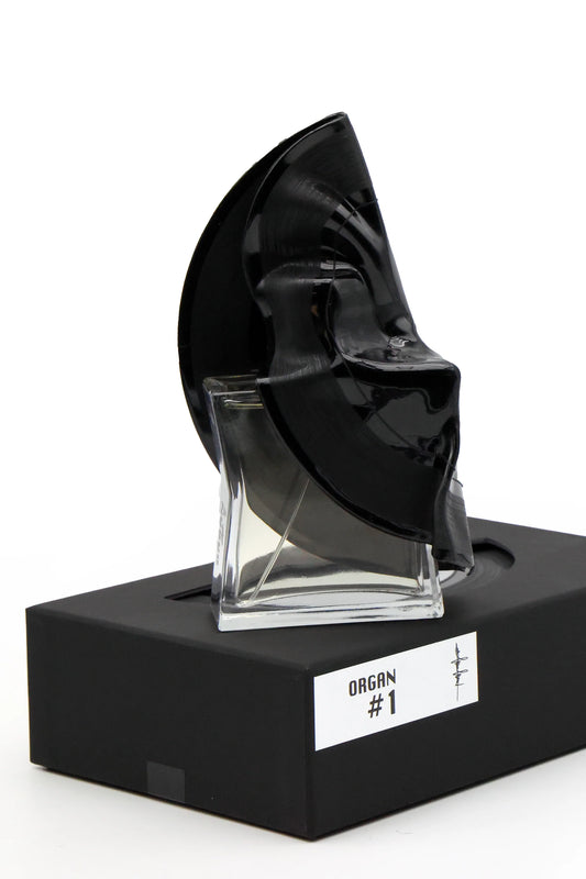 Organ #1 by Filippo Sorcinelli