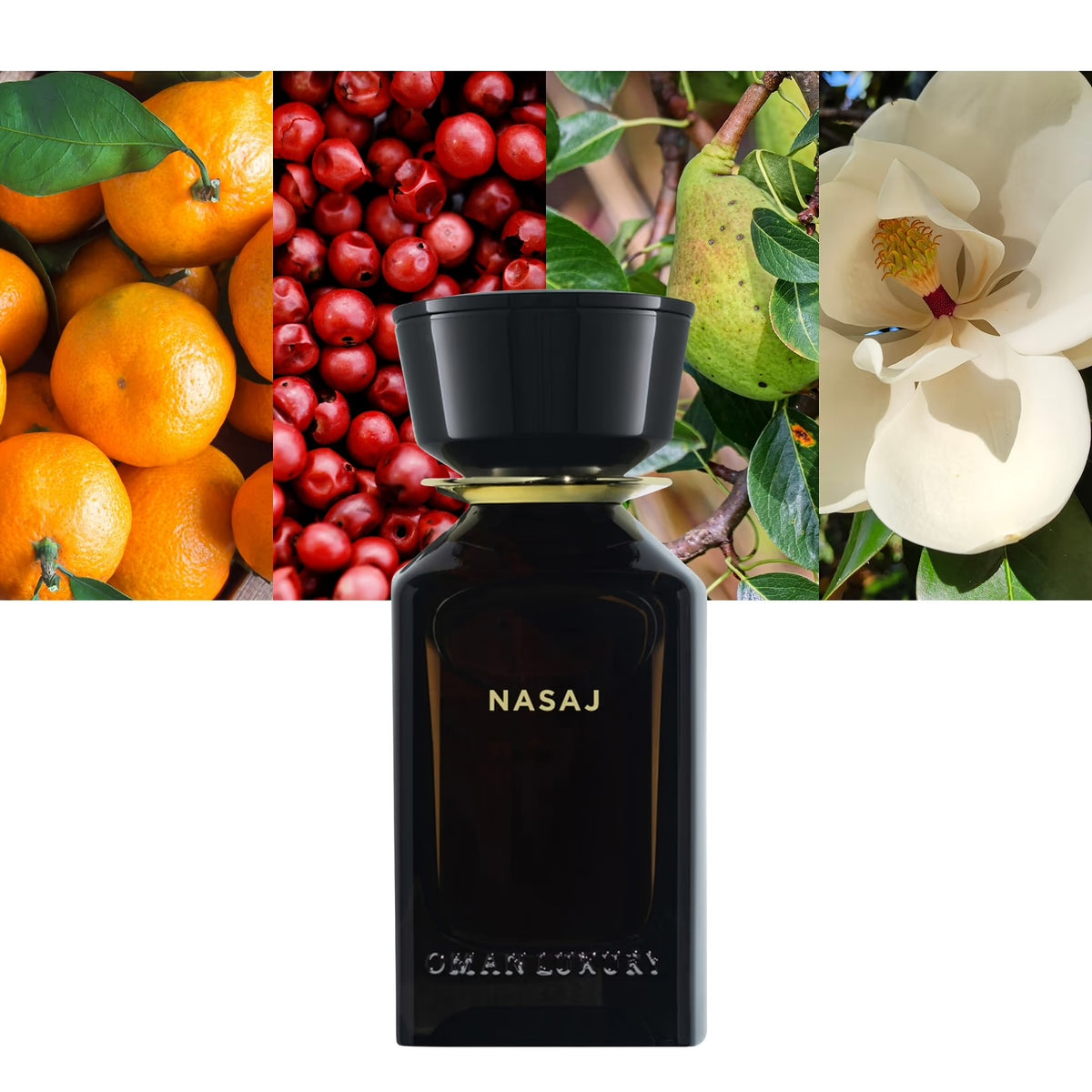Nasaj by Oman Luxury