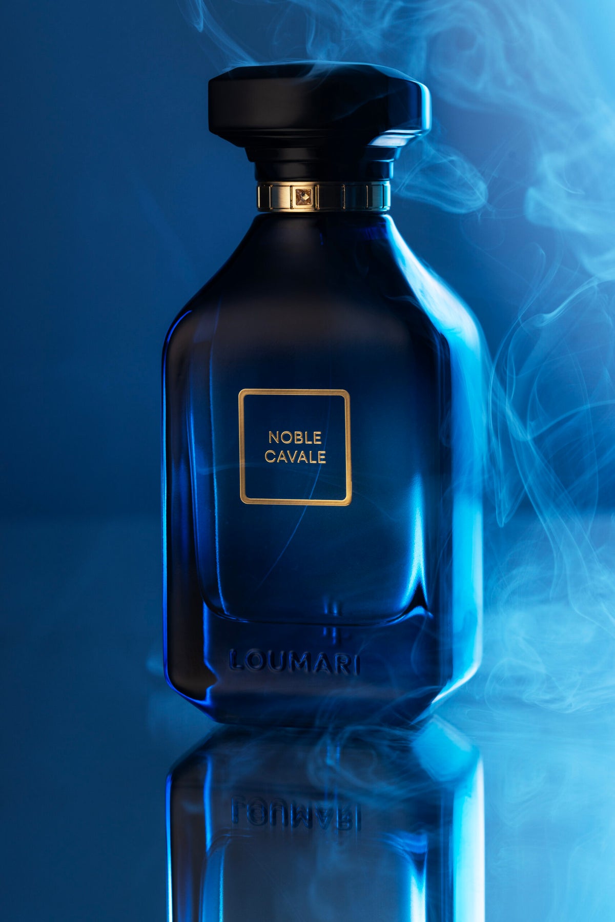 Noble Cavale by Loumari