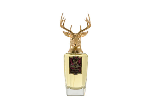 Orchestra by Pana Dora