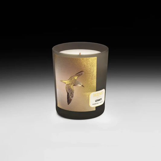 Levante Scented Candle by Memo Paris